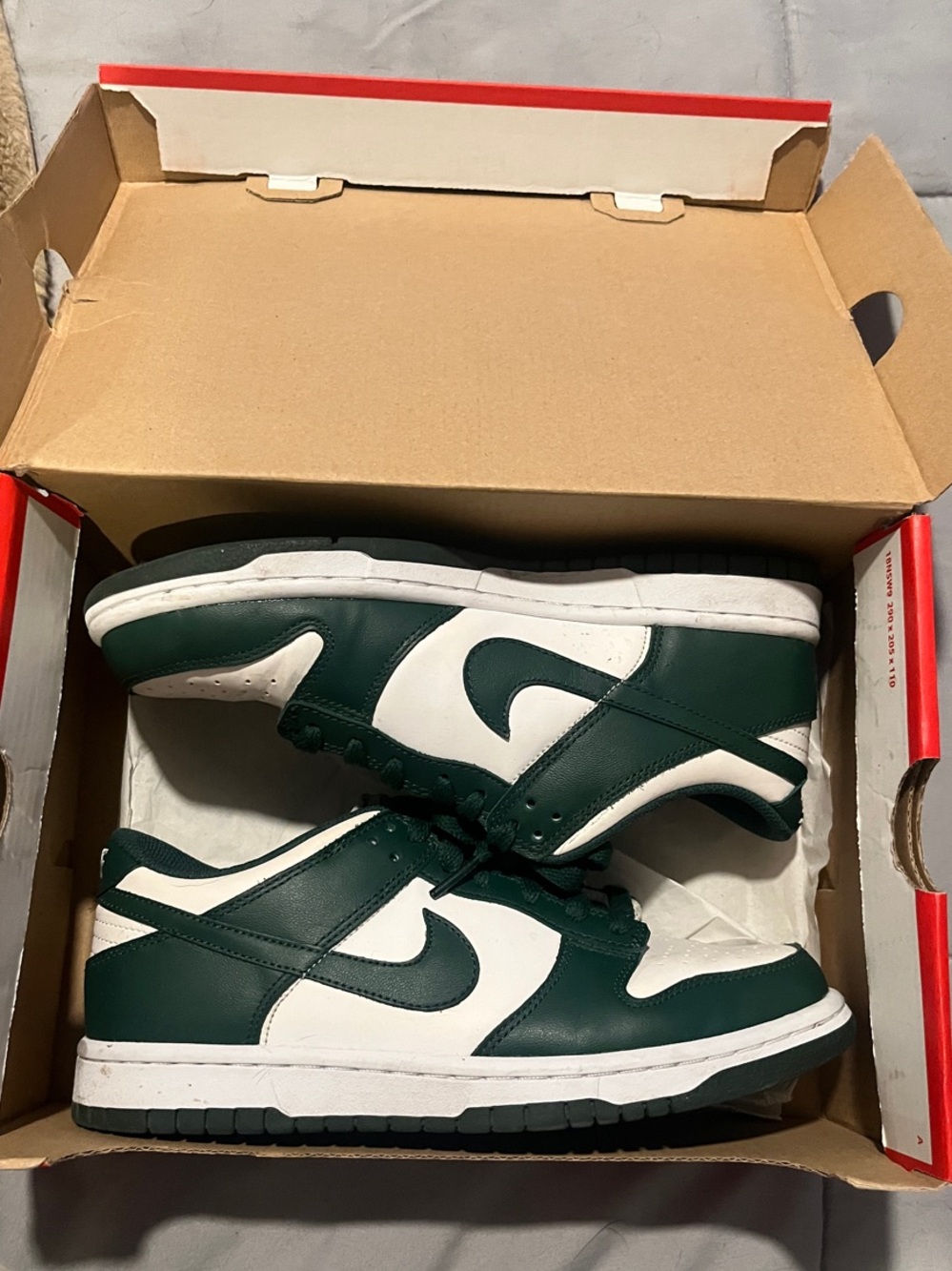 Nike Dunk Low “Spartan Green” Youth 6.5/Women’s 8 Sneakers